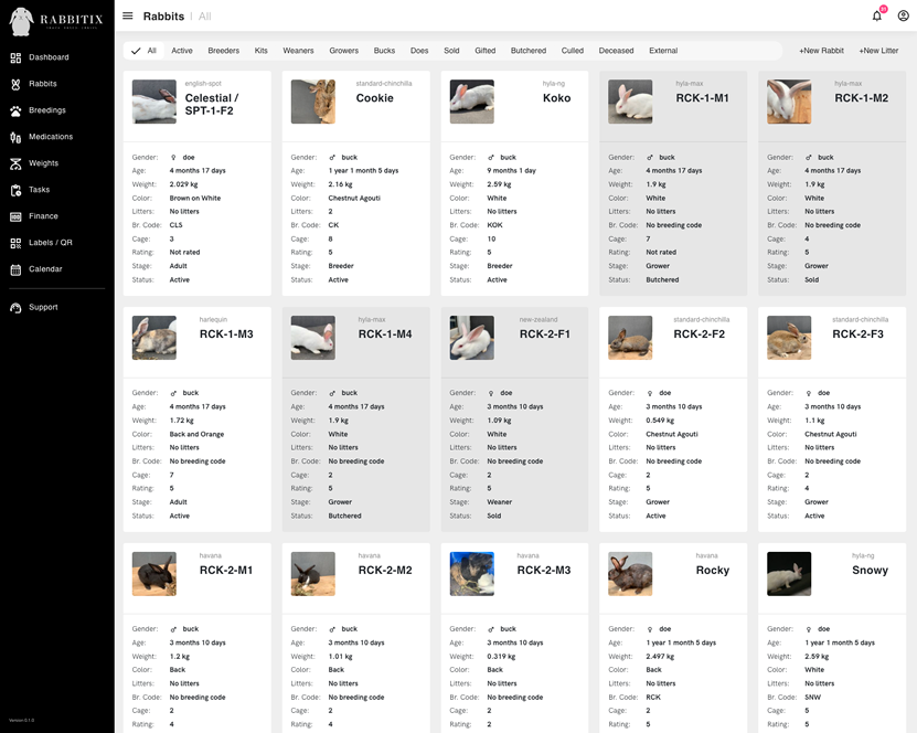 Rabbit list view screenshot